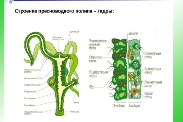 Kraken ссылка tor